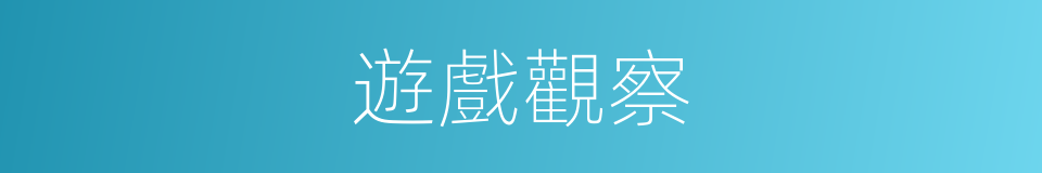 遊戲觀察的同義詞