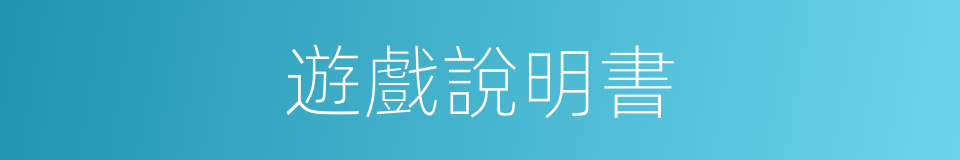 遊戲說明書的同義詞