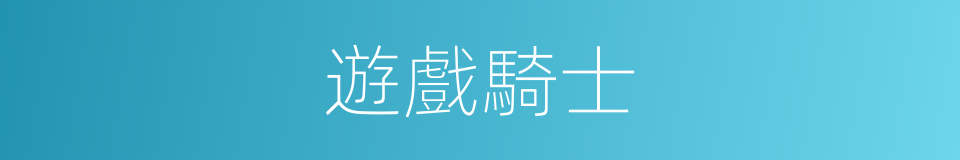 遊戲騎士的同義詞