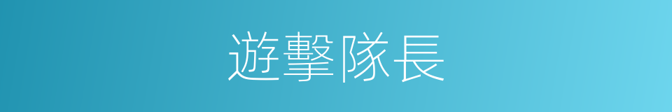 遊擊隊長的同義詞