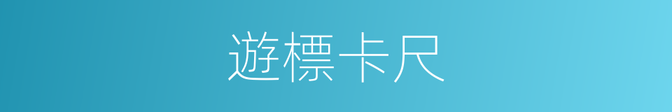 遊標卡尺的意思