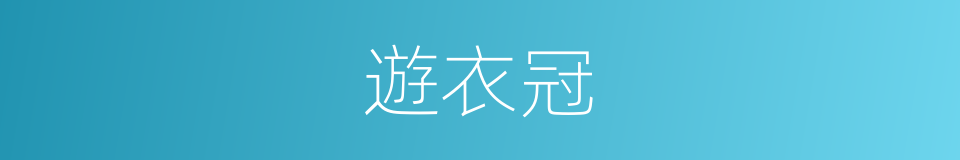 遊衣冠的意思