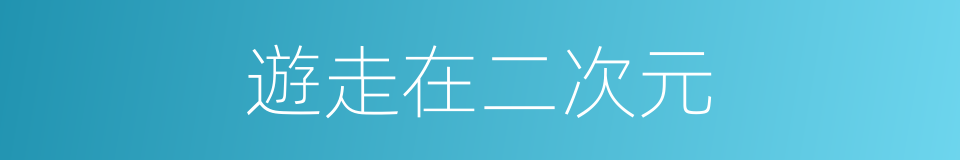 遊走在二次元的同義詞