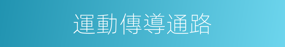 運動傳導通路的同義詞