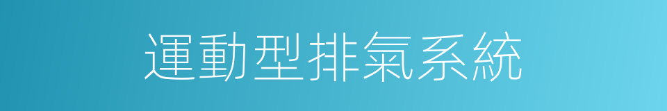 運動型排氣系統的同義詞