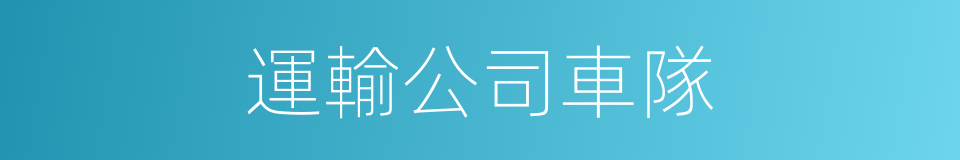 運輸公司車隊的同義詞