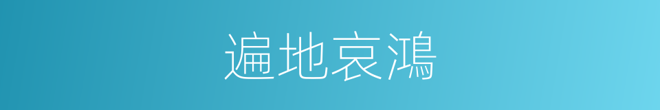 遍地哀鴻的意思