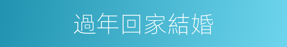 過年回家結婚的同義詞