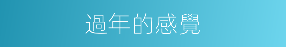 過年的感覺的同義詞
