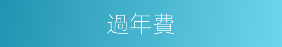 過年費的同義詞