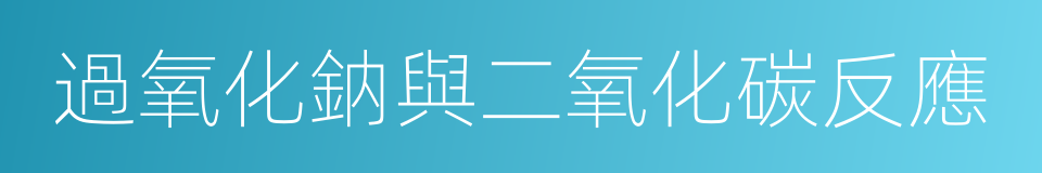 過氧化鈉與二氧化碳反應的同義詞