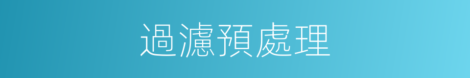 過濾預處理的同義詞