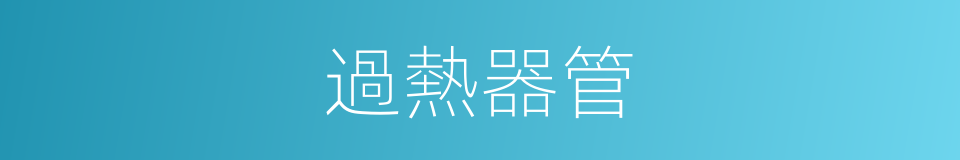 過熱器管的同義詞
