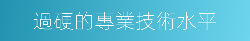 過硬的專業技術水平的同義詞