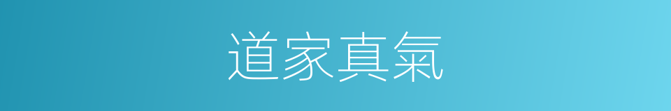 道家真氣的同義詞