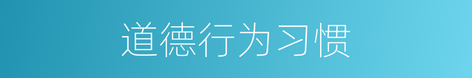 道德行为习惯的同义词