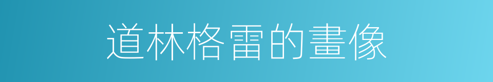 道林格雷的畫像的同義詞