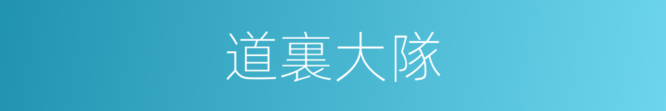 道裏大隊的同義詞