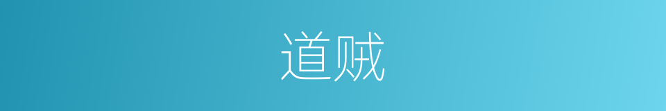 道贼的同义词