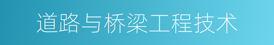 道路与桥梁工程技术的同义词