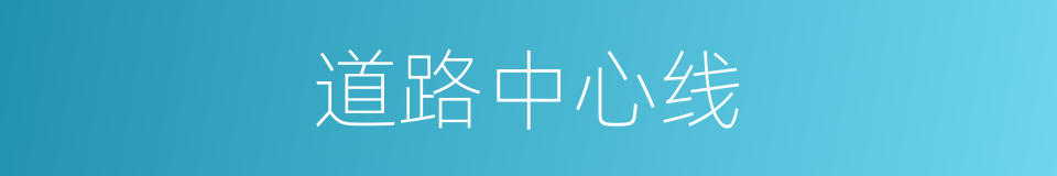 道路中心线的同义词