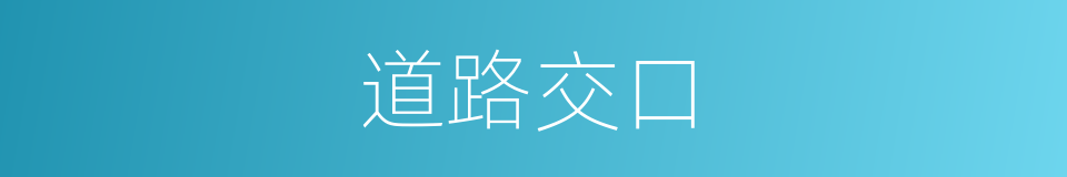 道路交口的同义词