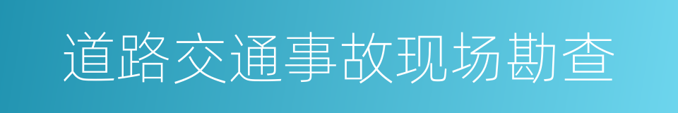 道路交通事故现场勘查的同义词