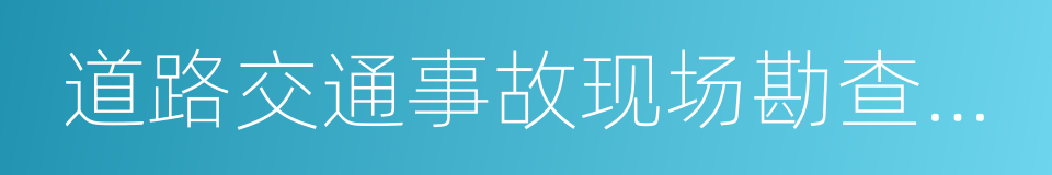 道路交通事故现场勘查笔录的同义词