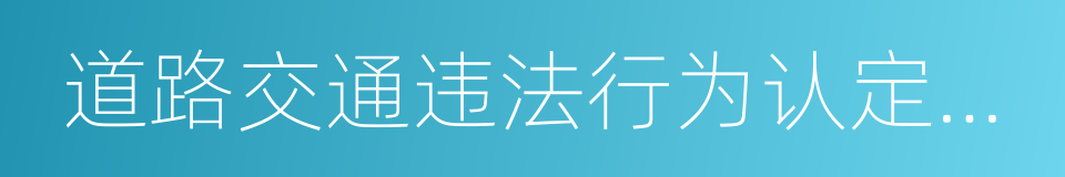 道路交通违法行为认定及处理指导意见的同义词