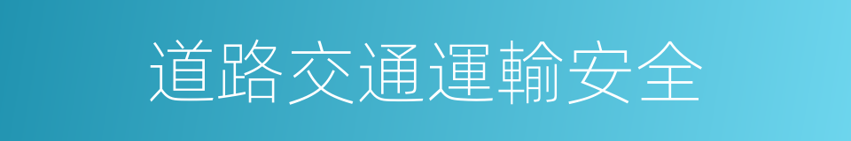 道路交通運輸安全的同義詞