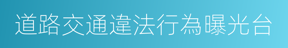 道路交通違法行為曝光台的同義詞