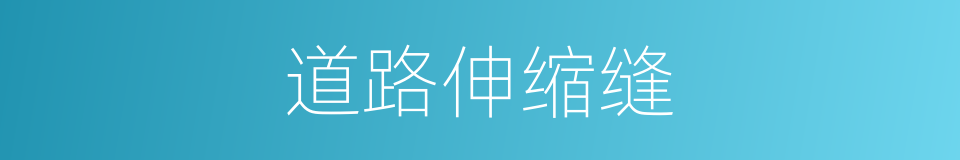 道路伸缩缝的同义词