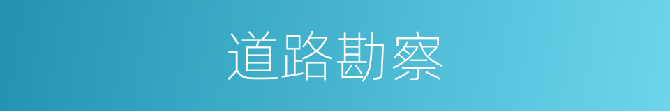 道路勘察的同义词