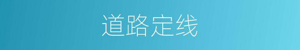 道路定线的同义词