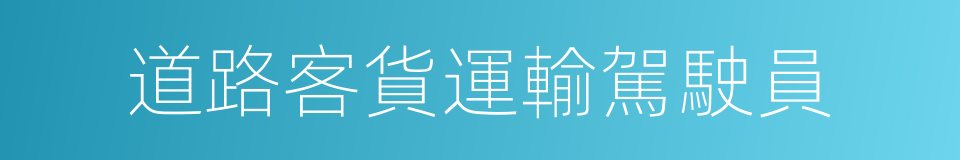 道路客貨運輸駕駛員的同義詞