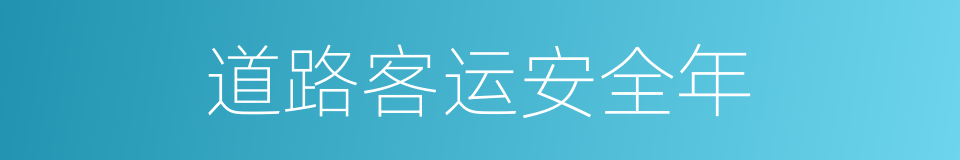 道路客运安全年的同义词