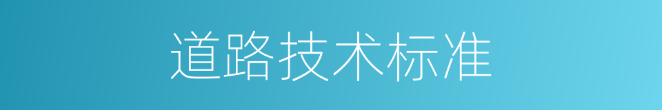 道路技术标准的同义词