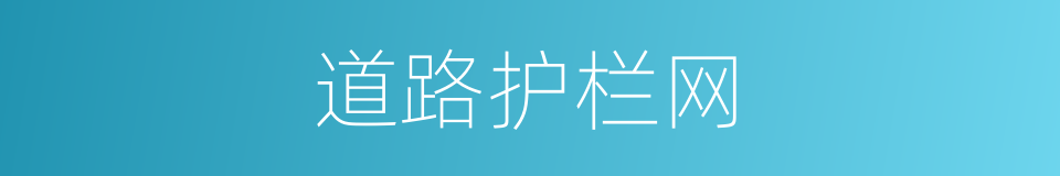 道路护栏网的同义词