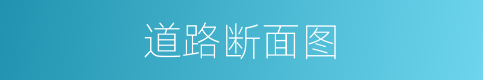 道路断面图的同义词