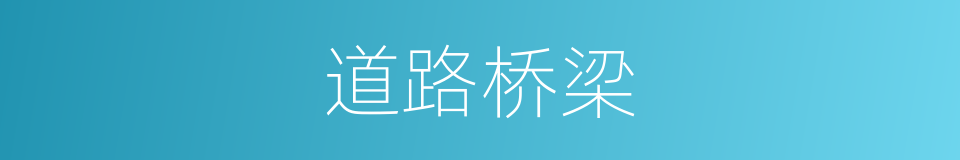 道路桥梁的同义词