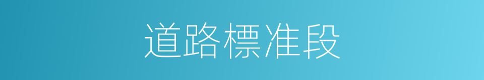 道路標准段的同義詞