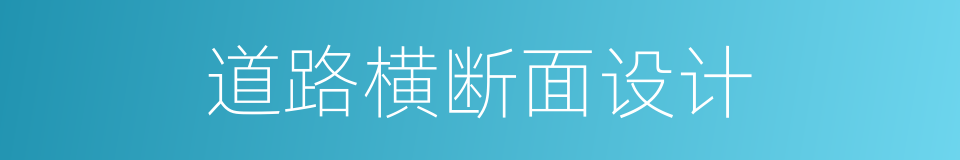 道路横断面设计的同义词