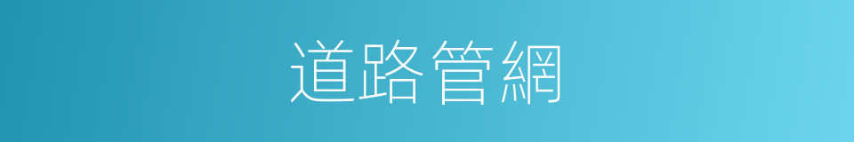 道路管網的同義詞