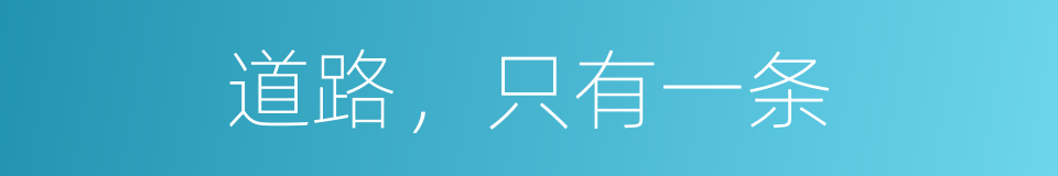 道路，只有一条的同义词