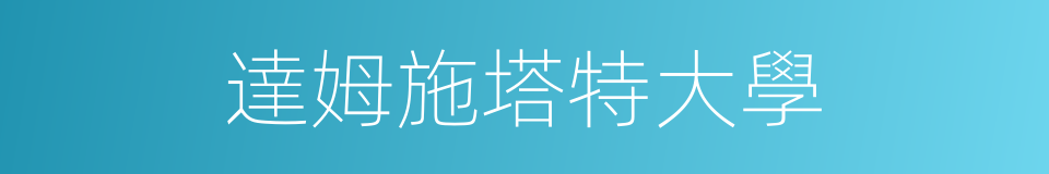 達姆施塔特大學的同義詞