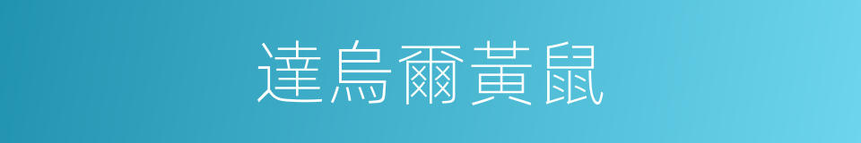 達烏爾黃鼠的同義詞