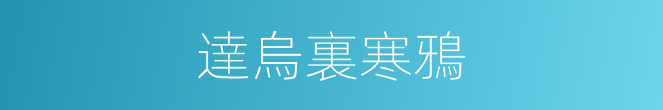 達烏裏寒鴉的同義詞