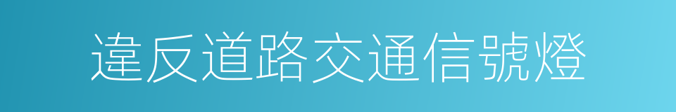 違反道路交通信號燈的同義詞