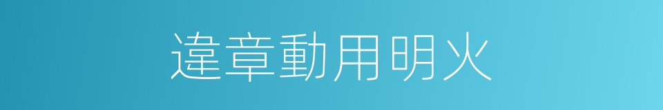 違章動用明火的同義詞