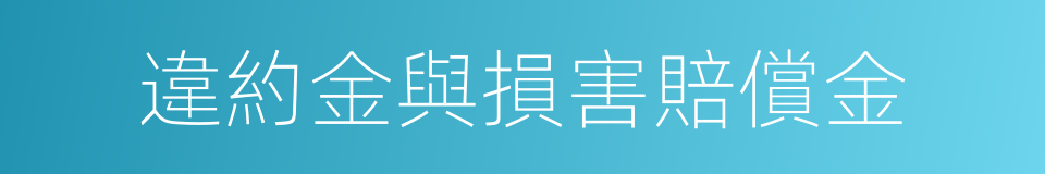 違約金與損害賠償金的同義詞